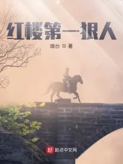 《红楼第一狠人》小说封面