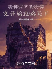 《三国之从黄巾起义开始攻略天下》小说封面