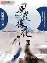 《风流探花》小说封面