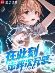 《在此刻，击碎次元壁》小说封面