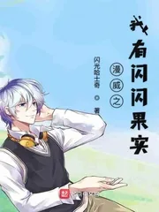 《漫威之我有闪闪果实》小说封面