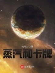 《蒸汽和卡牌》小说封面