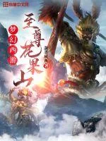 《梦幻西游:至尊花果山》小说封面