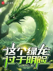 《这个绿龙过于阴险》小说封面