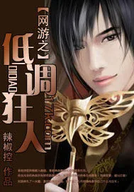 《网游之低调狂人》小说封面