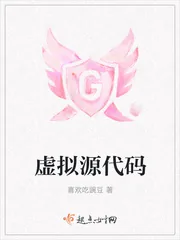 《虚拟源代码》小说封面