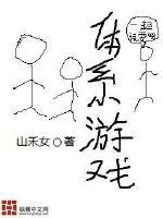 《体系游戏》小说封面