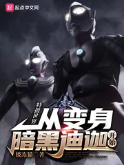 《特摄世界：从变身暗黑迪迦开始》小说封面
