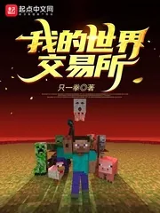 《我的世界交易所》小说封面
