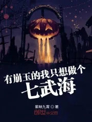 《有崩玉的我只想做个七武海》小说封面