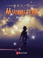 《精灵之一切从火箭队开始》小说封面