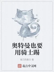 《奥特曼也要用骑士踢》小说封面