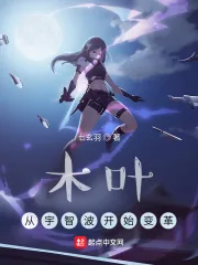 《木叶：从宇智波开始变革》小说封面