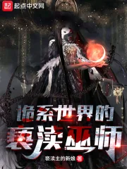 《诡系世界的亵渎巫师》小说封面