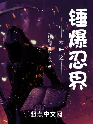 《木叶之锤爆忍界》小说封面