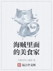 《海贼里面的美食家》小说封面