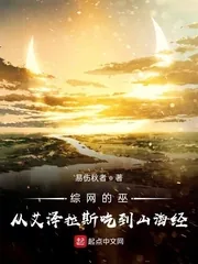 《综网的巫:从艾泽拉斯吃到山海经》小说封面