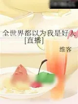 《守护甜心》小说封面