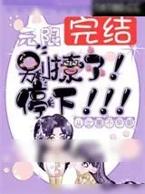 《无限：别撩了！停下！》小说封面