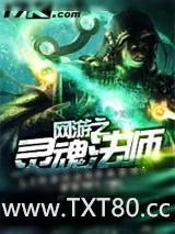 《网游之灵魂法师》小说封面