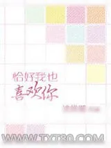 《恰好我也喜欢你》小说封面
