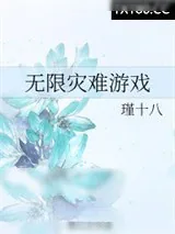 《无限灾难游戏》小说封面