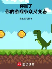 《你赢了,你的游戏小众又变态》小说封面