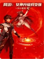 《网游：女神升级我变强》小说封面