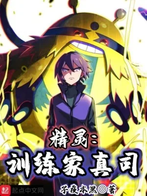 《精灵：训练家真司》小说封面