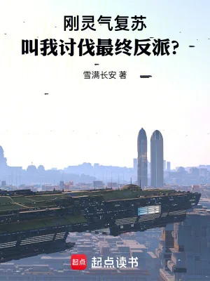 《刚灵气复苏，叫我讨伐最终反派？》小说封面