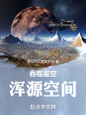 《吞噬星空:浑源空间》小说封面