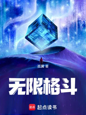 《无限格斗》小说封面