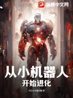 《从小机器人开始进化》小说封面