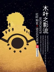 《木叶之影流》小说封面