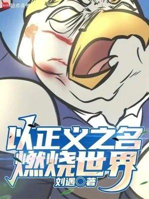 《以正义之名,燃烧世界》小说封面