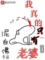《我真的只有一个老婆》小说封面