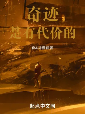 《奇迹是有代价的》小说封面