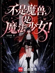 《不是魔兽,是魔法少女!》小说封面