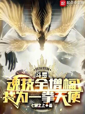 《斗罗:魂技全增幅,我为一拳天使》小说封面