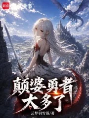 《颠婆勇者太多了》小说封面