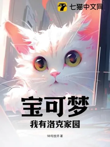 《宝可梦：我有洛克家园》小说封面