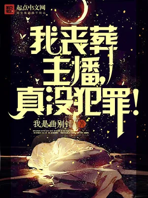 《我丧葬主播,真没有犯罪!》小说封面