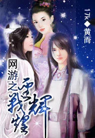 《网游之圣战辉煌》小说封面