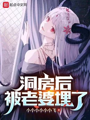 《洞房后，被老婆埋了》小说封面