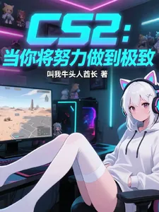 《CS2：当你将努力做到极致》小说封面