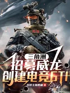 《三角洲：招募威龙，创电竞GTI》小说封面