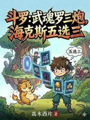 《斗罗:武魂罗三炮,海克斯五选三》小说封面