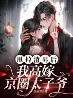 《甩掉渣男后,我高嫁京圈太子爷》小说封面