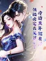 《冷婚五年他有悔，但她决定去父留子了》小说封面