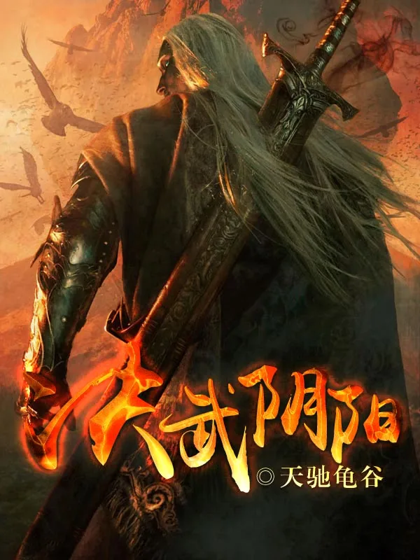 《决武阴阳》小说封面